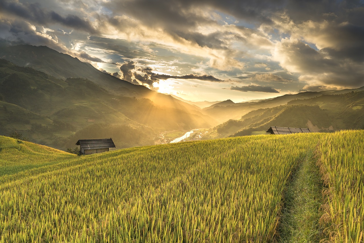 The Connection Between Healthy Soils and Biodiversity